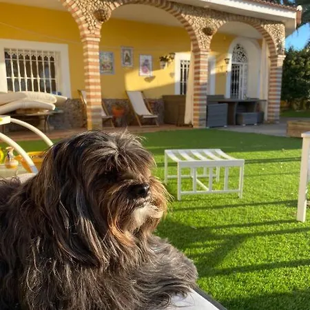 Country house El Limonero