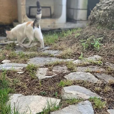 Kır Evi El Limonero Villanueva De La Serena