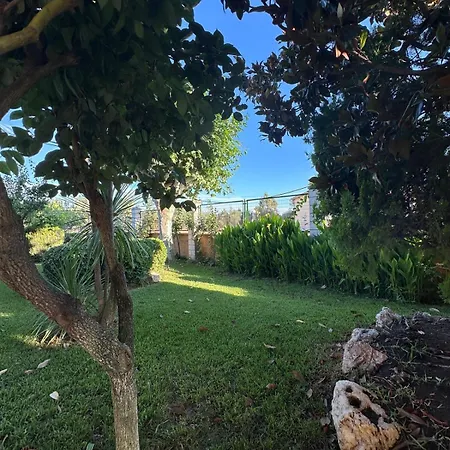 Kır Evi El Limonero