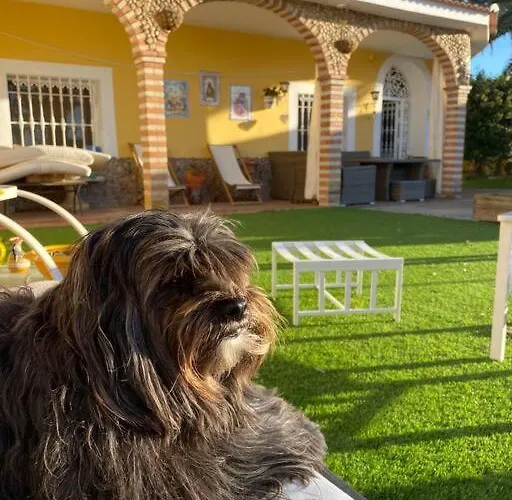 Casa de Campo El Limonero