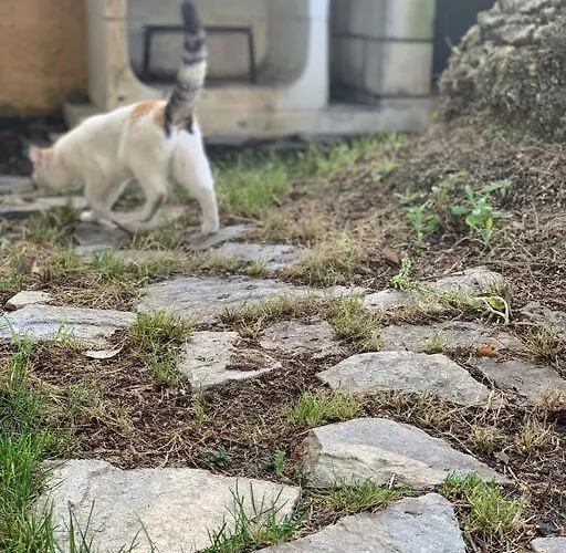 Casa de Campo El Limonero Villanueva De La Serena